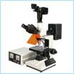 用途

330E/330Z 系列生物荧光显微镜采用荧光显微技术，配置了B、G二组激发光，在显微镜上观察标本的荧光现象具有极高的敏感度，可以清楚地观察和鉴定用普通显微技术难以观察到的染色体标本，作为一种研究方法或实验手段。生物荧光显微镜广泛应用于生物和医学等技术领域中。生物荧光显微镜适用荧光显微术和明视场观察，是生物学、细胞学、肿瘤学、遗传学、免疫学等研究工作的理想仪器。

